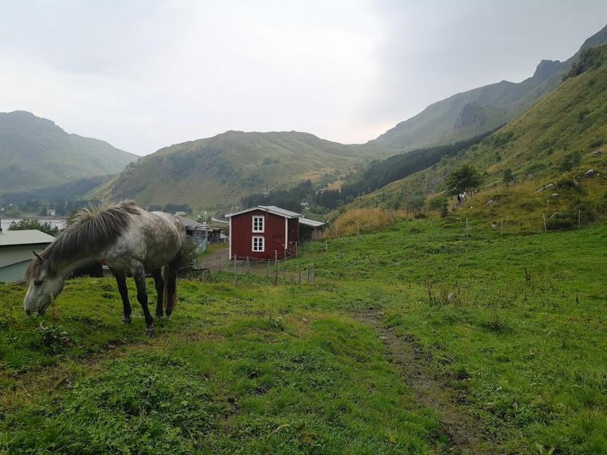 Готель Glamping Lofoten Kongsjorda Екстер'єр фото
