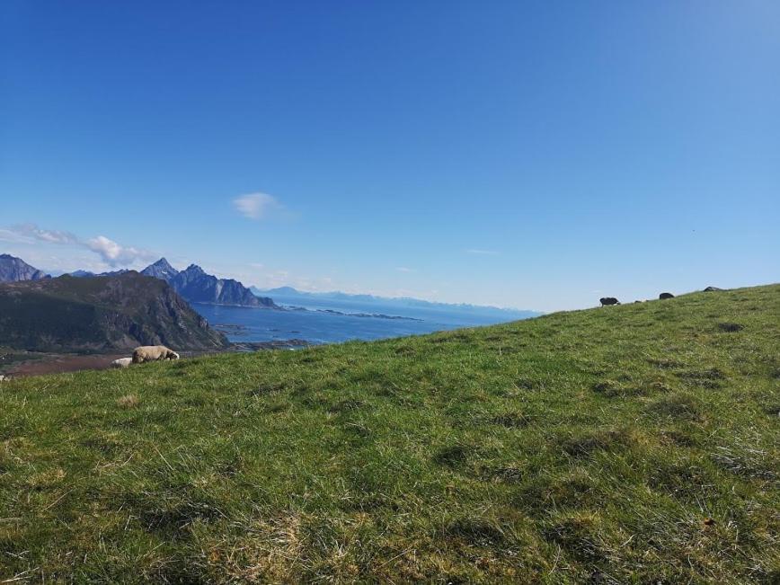 Готель Glamping Lofoten Kongsjorda Екстер'єр фото