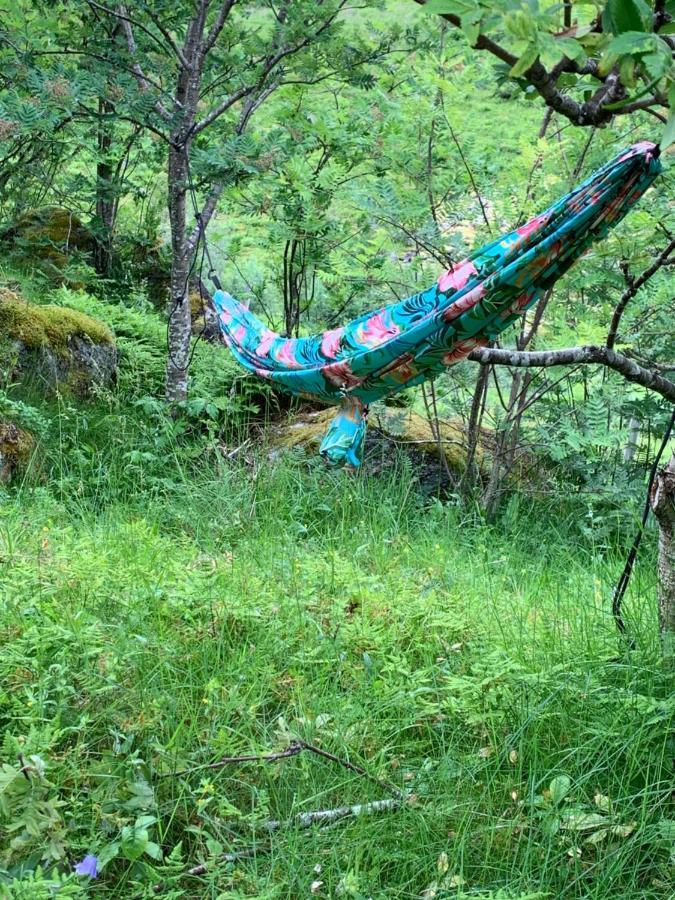 Готель Glamping Lofoten Kongsjorda Екстер'єр фото